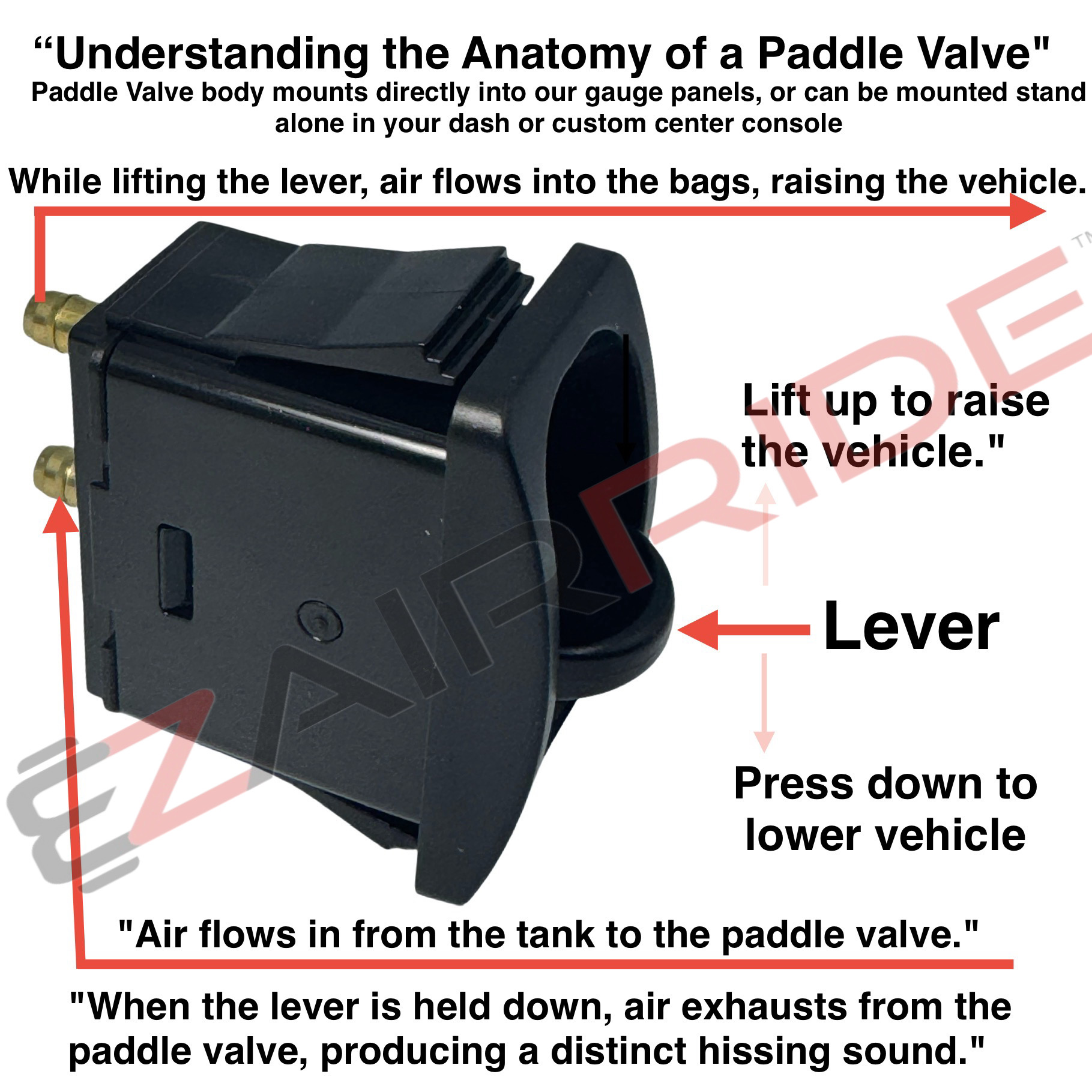 200 PSI Dual Needle Gauge Panel | Quad Manual Paddle Valves | 4-Corner FBSS - Image 6