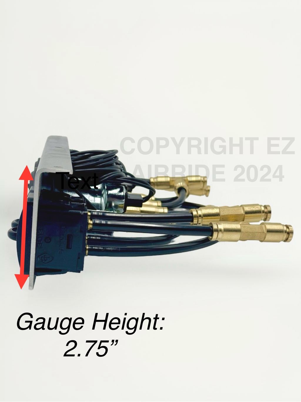 200 PSI Dual Needle Gauge Panel | Quad Manual Paddle Valves | 4-Corner FBSS - Image 5